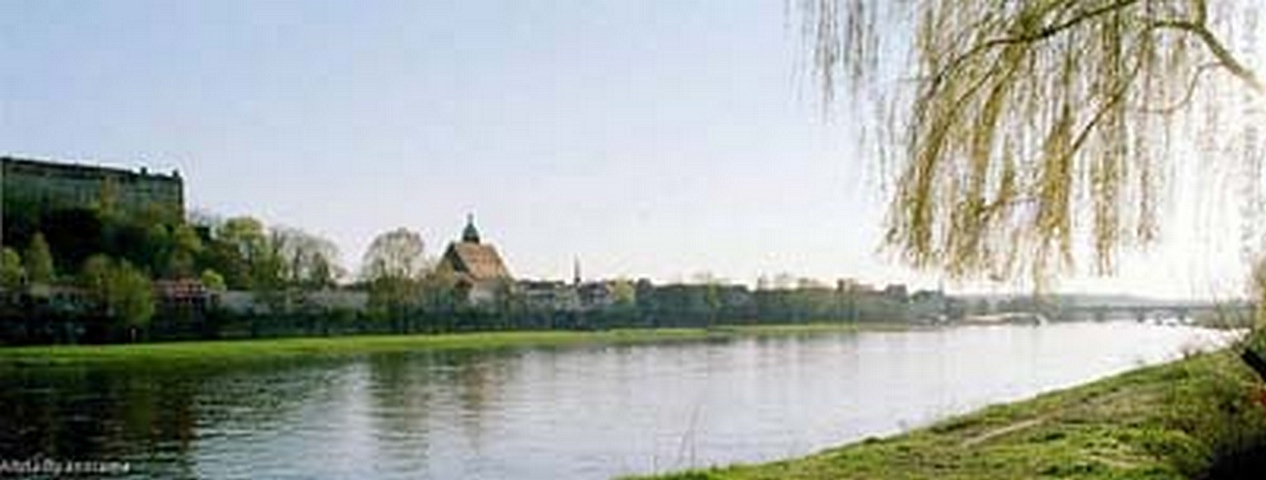Panorama Elbe und
                Pirna 2003