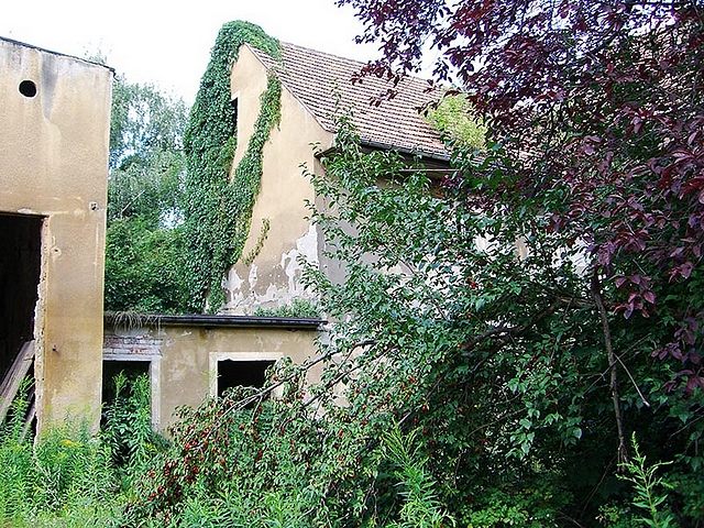 Scheunenhof,
                  Detailansicht